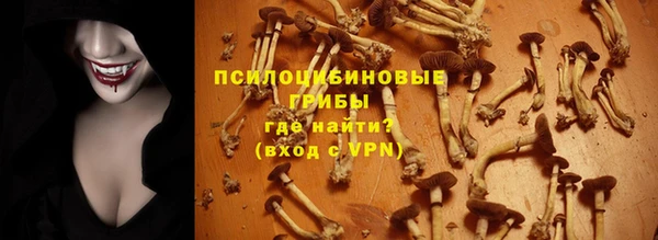 PSILOCYBIN Алексеевка