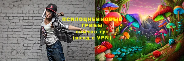 a pvp Алексин